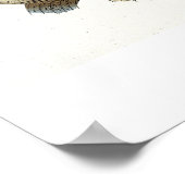 Steinbutt (Pleuronectes Maximus) Platte XLIX von ' Poster (Ecke)