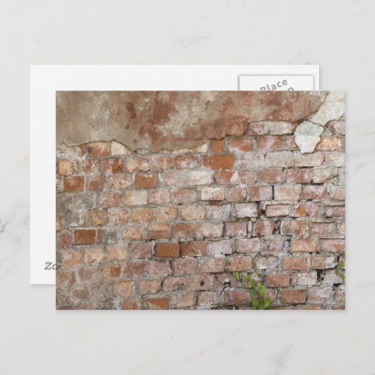 Steine alte Mauer Postkarte (Vorne/Hinten)