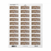 Steine alte Wand (Vorne)