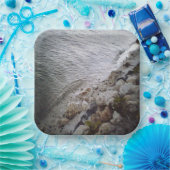 Steine am Strand Pappteller (Party)