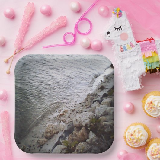 Steine am Strand Pappteller (Party)