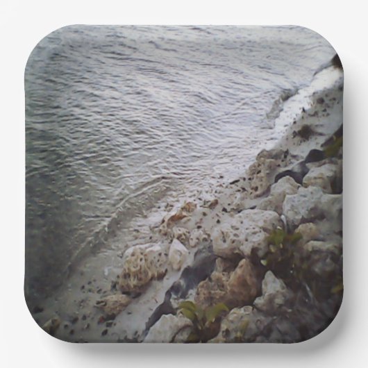 Steine am Strand Pappteller (Vorderseite)