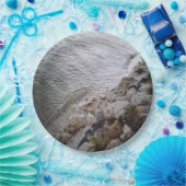 Steine am Strand Pappteller (Party)