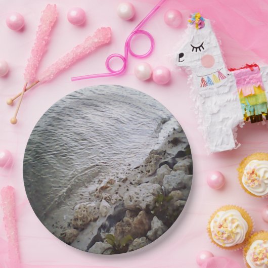 Steine am Strand Pappteller (Party)