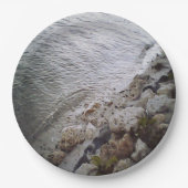 Steine am Strand Pappteller (Vorderseite)