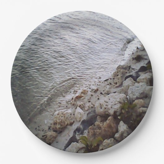 Steine am Strand Pappteller (Vorderseite)