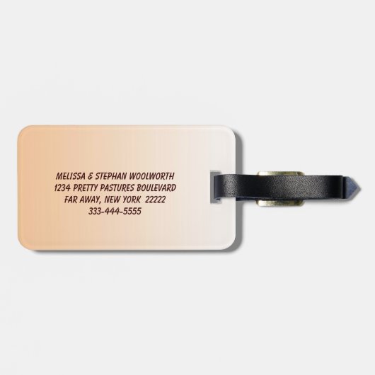 Steine Gepäckanhänger (Rückseite horizontal)