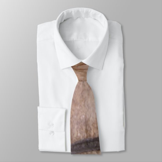 Steine Krawatte (Gebunden)