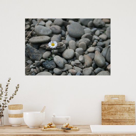 Steine Poster (Küche)