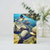 Steine Postkarte (Stehend Vorderseite)