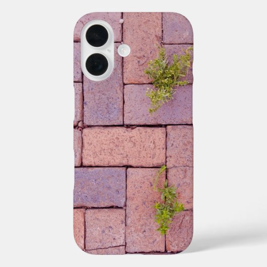 Steine und Unkraut in der Fußgängerfotografie Case-Mate iPhone Hülle (Rückseite)