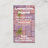 Steine und Unkraut in der Fußgängerfotografie Visitenkarte (Vorderseite)