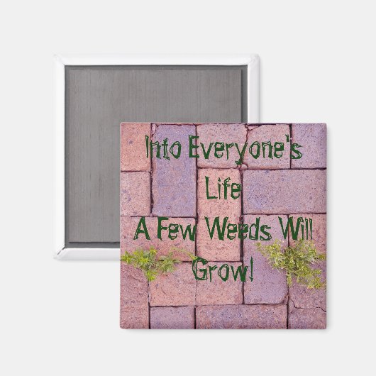 Steine Unkraut in Walkway Foto Personalisiert Magnet (Vorderseite/Rückseite)