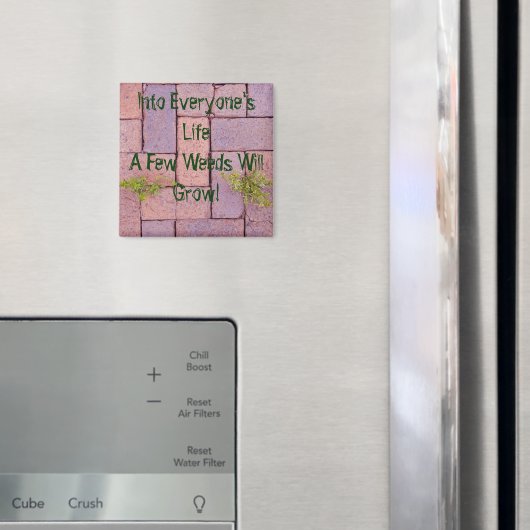 Steine Unkraut in Walkway Foto Personalisiert Magnet (In Situ (Kühlschrank))