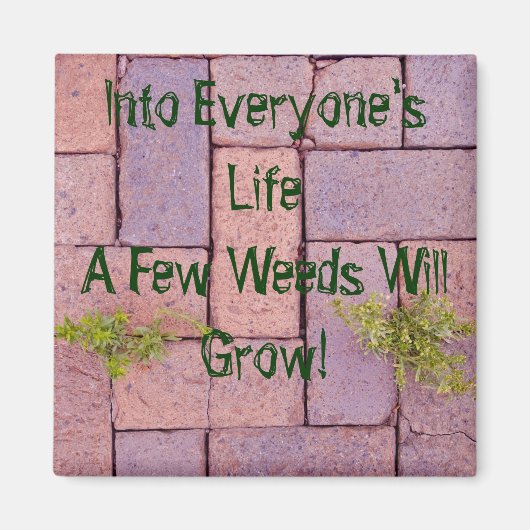 Steine Unkraut in Walkway Foto Personalisiert Magnet (Vorne)