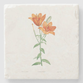 STEINER UNTERSETZER MIT BOTANISCHER ORANGE-LILY: R