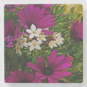 STEINER UNTERSETZER MIT LILA UND WEISSEN BLUME
