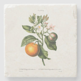 STEINER UNTERSETZER MIT REDOUTÉ "BITTER ORANGE"