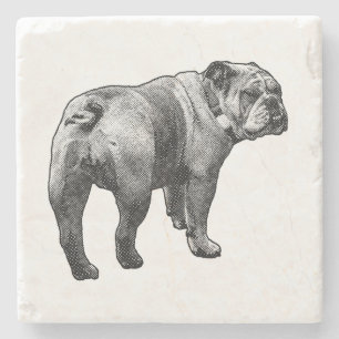 Steinerner Bulldogge, geteilte Momente Steinuntersetzer