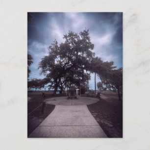 Steinernes Denkmal unter Live Oak Postkarte
