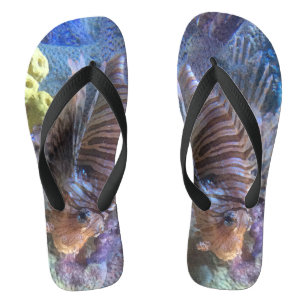 Steinfisch Badesandalen