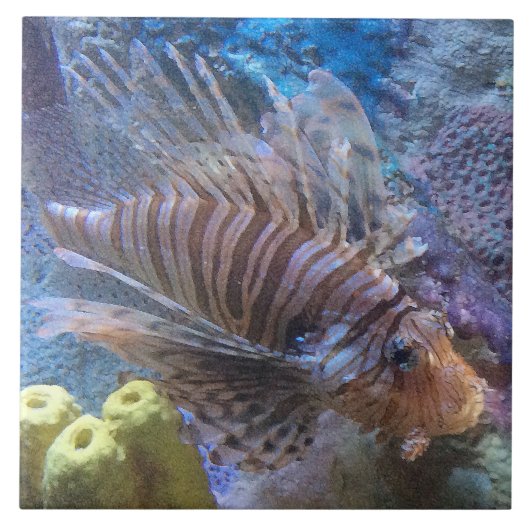 Steinfisch Fliese (Vorderseite)