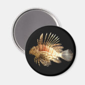 Steinfisch Magnet (Vorderseite/Rückseite)