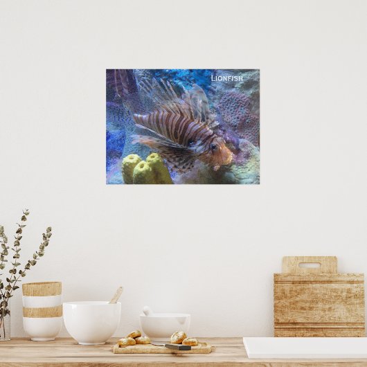 Steinfisch Poster (Küche)