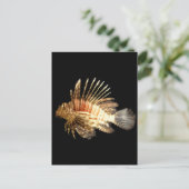 Steinfisch Postkarte (Stehend Vorderseite)