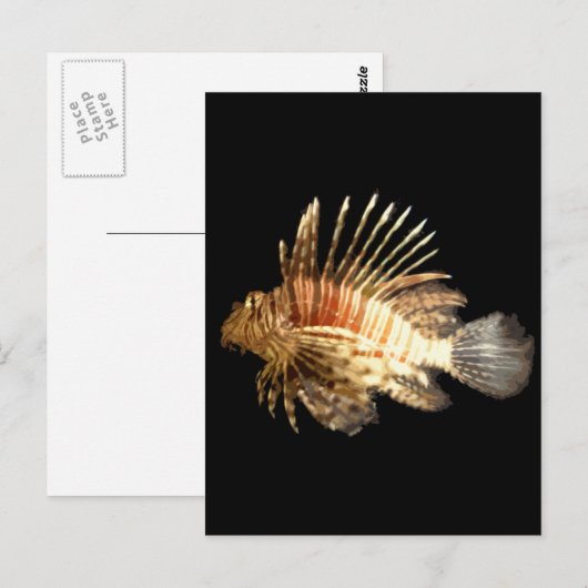 Steinfisch Postkarte (Vorne/Hinten)