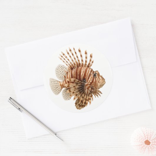 Steinfisch Runder Aufkleber (Umschlag)