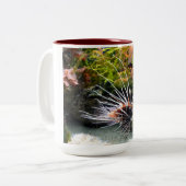 Steinfisch Zweifarbige Tasse (Vorderseite Links)