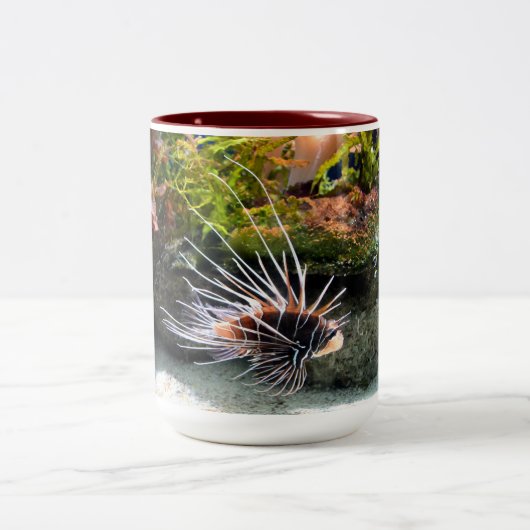 Steinfisch Zweifarbige Tasse (Mittel)