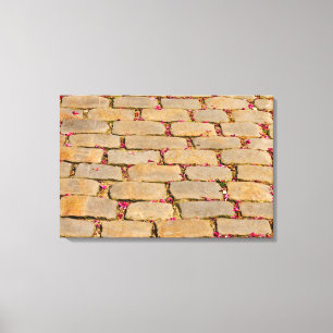 Steinfußläufer Leinwanddruck