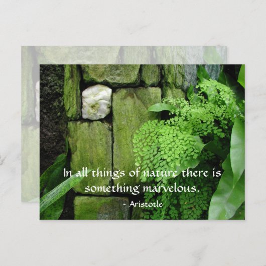 Steingarten: Aristoteles - Postkarte (Vorne/Hinten)