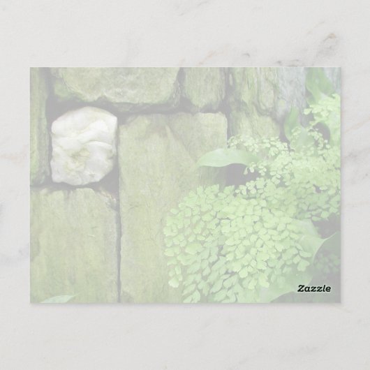 Steingarten: Aristoteles - Postkarte (Rückseite)