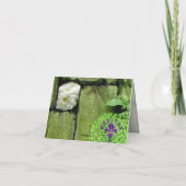 Steingarten - Karte (Rückseite)