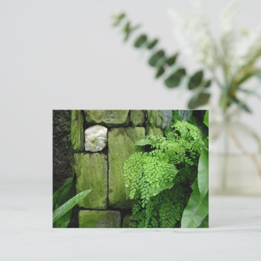 Steingarten - Postkarte (Stehend Vorderseite)