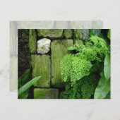 Steingarten - Postkarte (Vorne/Hinten)