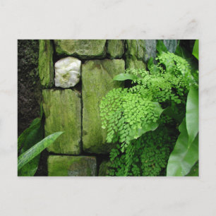 Steingarten - Postkarte