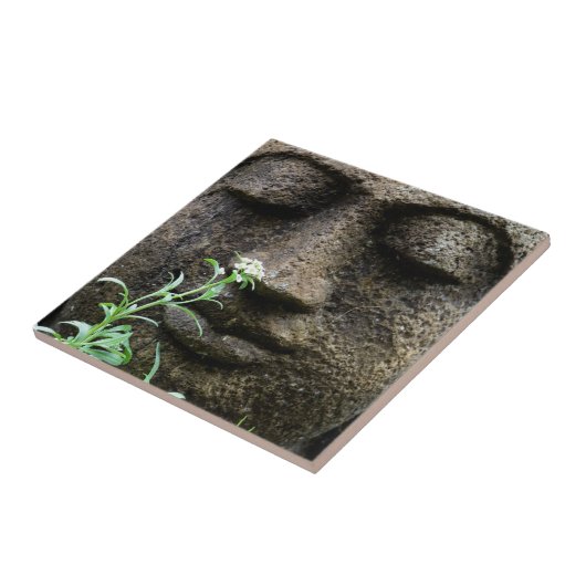 Steingartenstatue mit Blume Fliese (Seite)