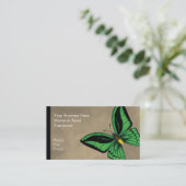 Steinhaufen Birdwing Schmetterling dorsal und Visitenkarte (Stehend Vorderseite)