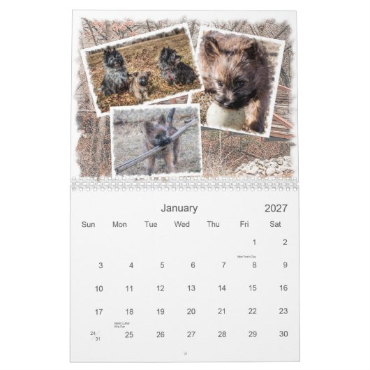 Steinhaufen-Kalender 2014 Kalender (Jan 2027)