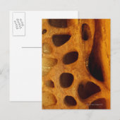 Steinhaufen Postkarte (Vorne/Hinten)