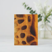 Steinhaufen Postkarte (Stehend Vorderseite)