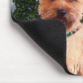 Steinhaufen Terrier folgen gerade gelber Mousepad (Ecke)