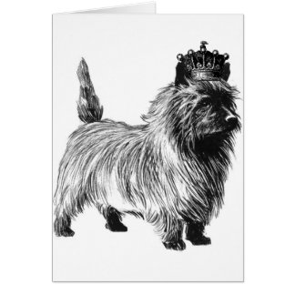 Steinhaufen-Terrier-Hundewelpen-Krone