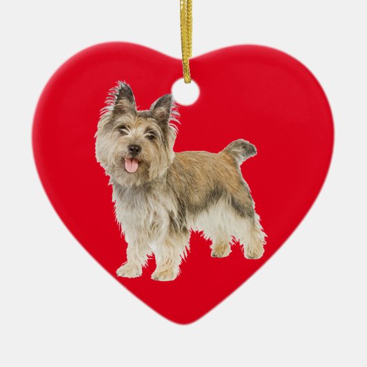 Steinhaufen Terrier Keramikornament (Vorne)