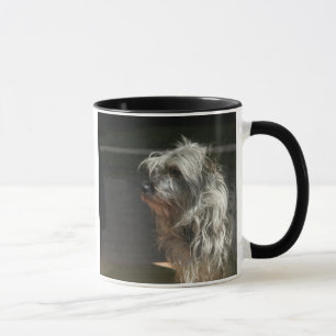 Steinhaufenterrier Tasse