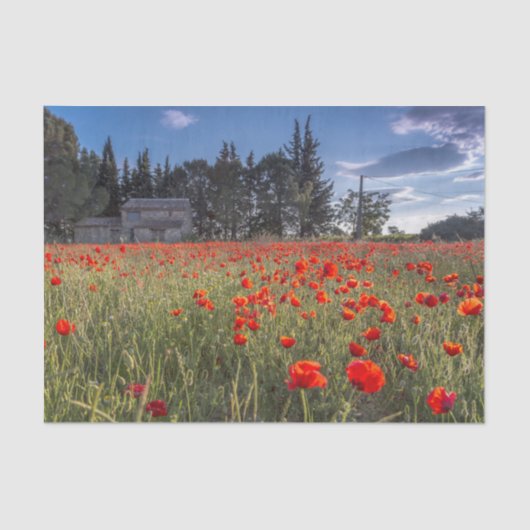 Steinhaus mit Ruby Red Tulip Field Seidenpapier (Vorderseite)